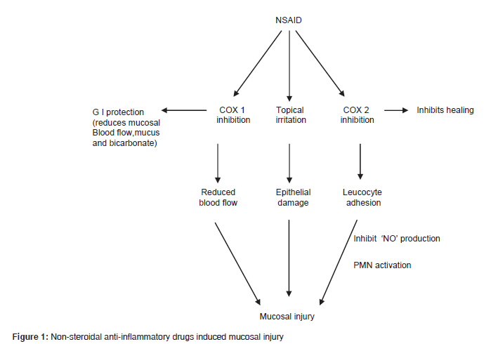 Pathophysiology Of Peptic Ulcer In Flow Chart