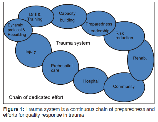 annals-medical-health-sciences-Trauma-system