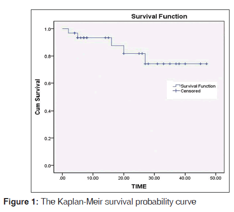 annals-medical-health-Kaplan-Meir-survival