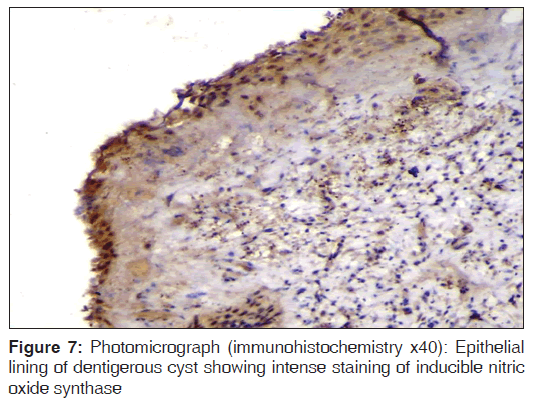 annals-medical-health-Photomicrograph