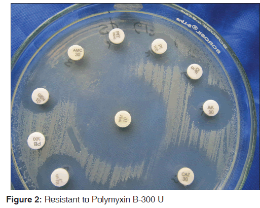 annals-medical-health-Resistant-Polymyxin