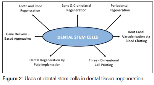 annals-medical-health-dental-tissue-regeneration