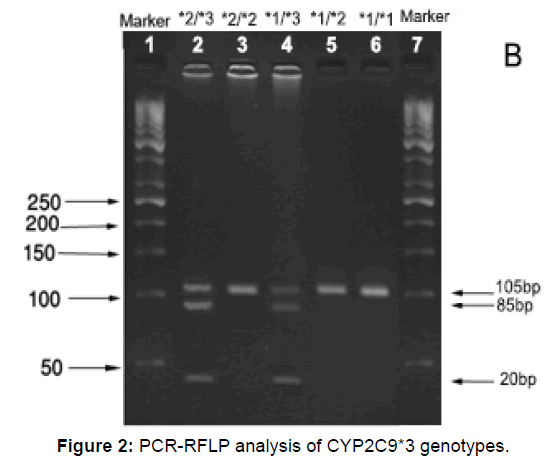 annals-medical-health-genotypes