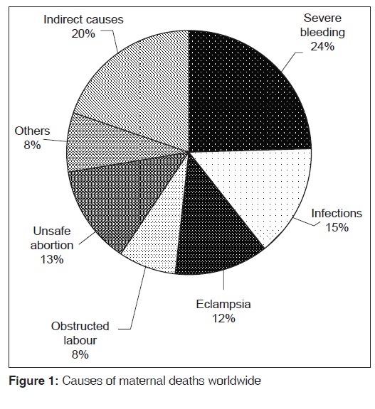 annals-medical-health-maternal-deaths