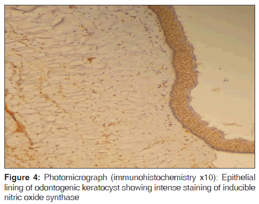 annals-medical-health-nitric-oxide-synthase