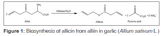 annals-medical-health-sciences-Biosynthesis-allicin