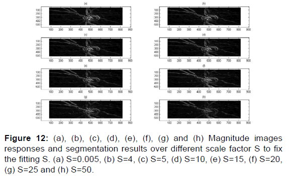 annals-medical-health-sciences-Magnitude-images