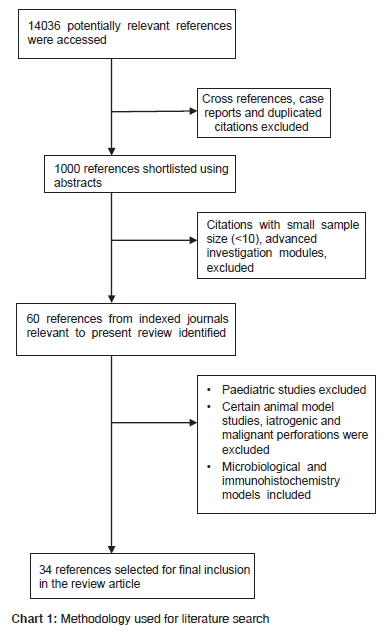 annals-medical-health-sciences-Methodology-literature-search