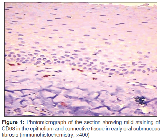 annals-medical-health-sciences-Photomicrograph