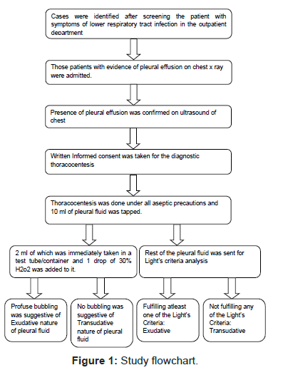 Catalase Assay Flow Chart