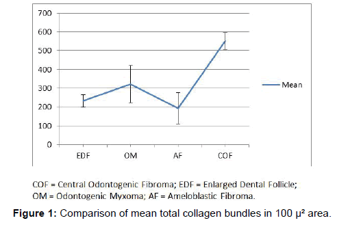 High-power view of fibrous area with ropey collagen bundles and