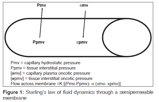 annals-medical-health-sciences-fluid-dynamics-semipermeable-membrane