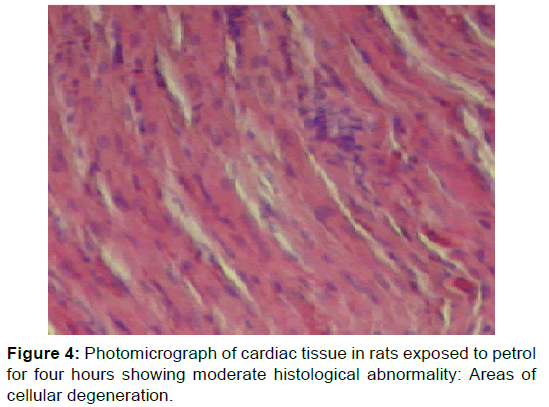 annals-medical-health-sciences-histological