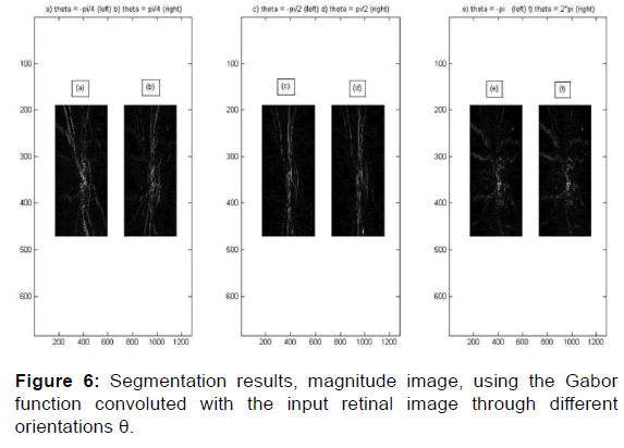 annals-medical-health-sciences-magnitude-image