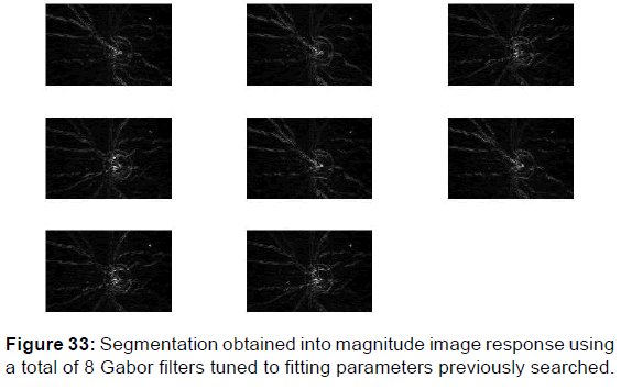 annals-medical-health-sciences-magnitude-image