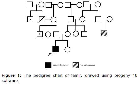 annals-medical-health-sciences-pedigree-chart