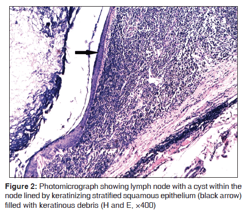 annals-medical-health-sciences-photomicrograph