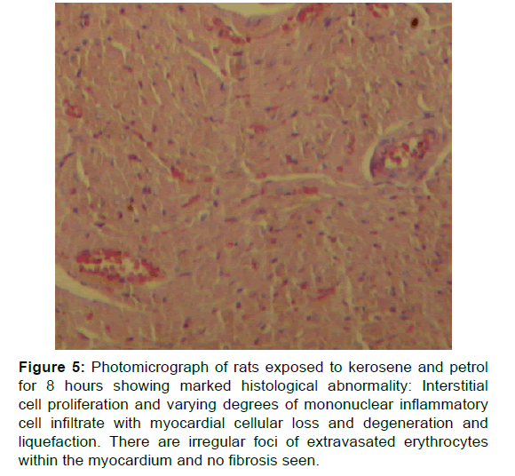 annals-medical-health-sciences-photomicrograph