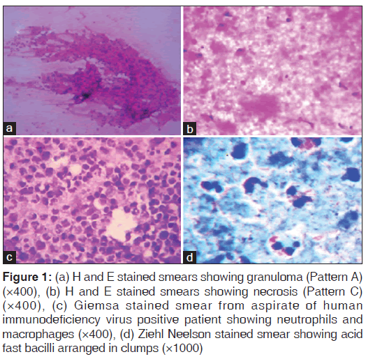 annals-medical-health-stained-smears-showing